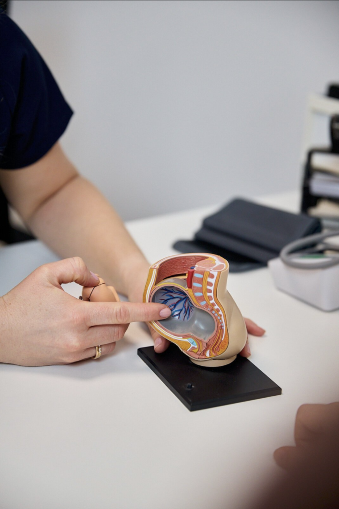 Dr. Patricia Magometschnigg